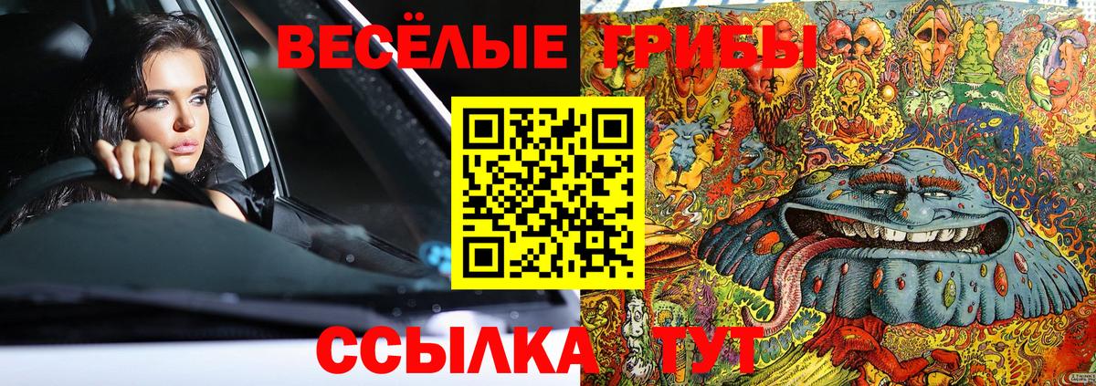 Галлюциногенные грибы мухоморы Амурск