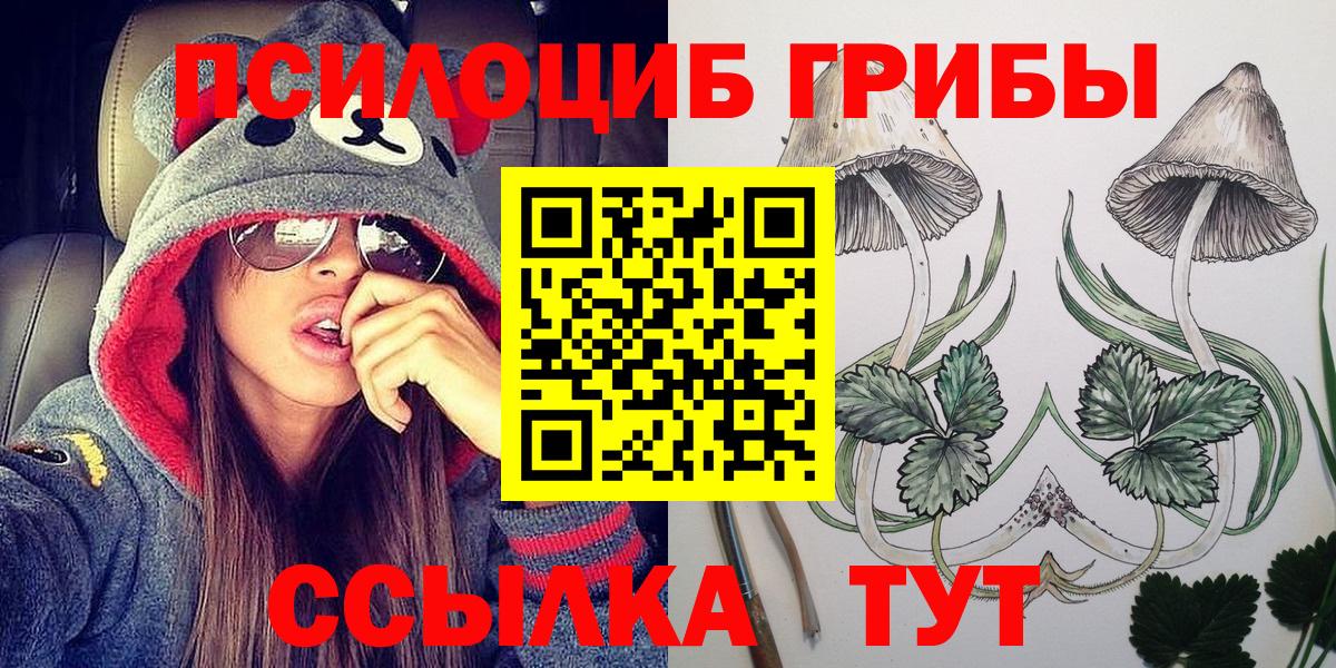 Амурск  Псилоцибиновые грибы Psilocybine cubensis  Вход с VPN 